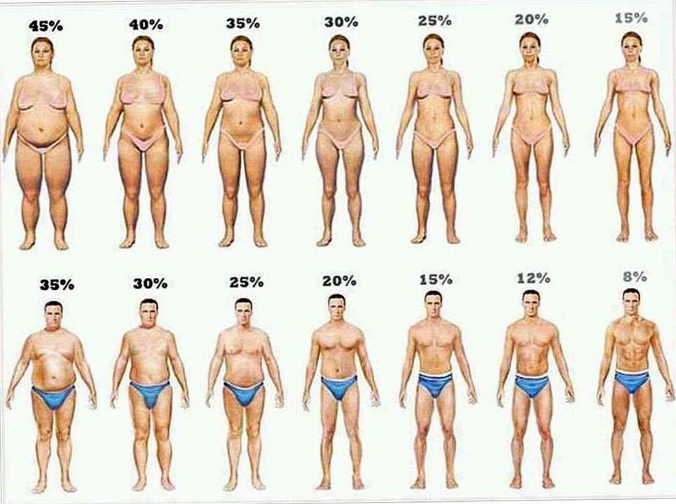 porcentaje de grasa corporal y pérdida de peso con una dieta cetogénica